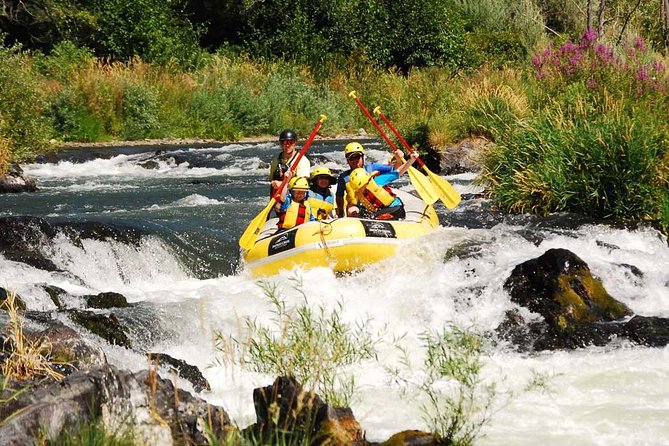 Rogue Valley Rapid Run - Navigating the Rogue Valley Rapids