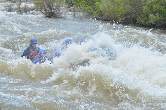 Royal Gorge Half-Day Rafting Trip - Navigating the Majestic Gorge