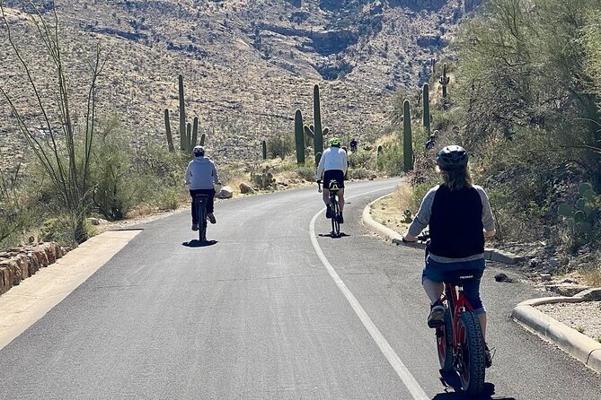 Saguaro National Park East E-Bike Tour - Tour Details