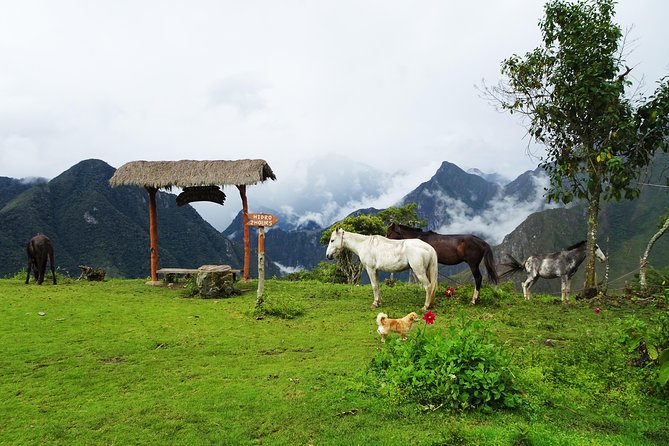 Salkantay Trek Premium 5D/4N - What to Expect on the Trek