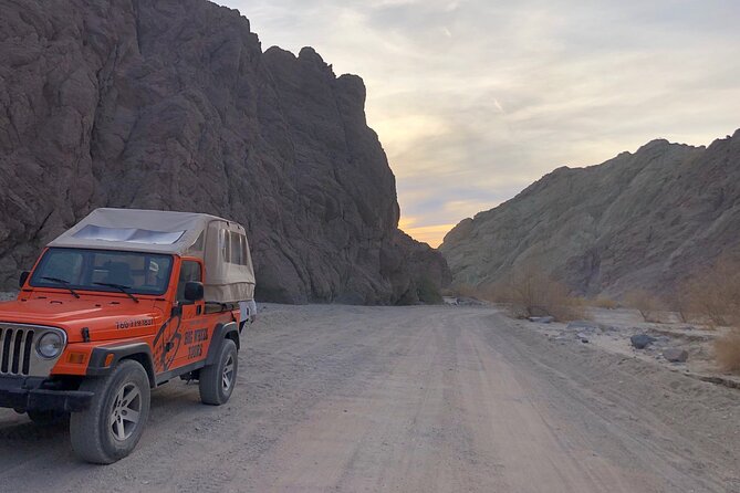 San Andreas Fault Offroad Tour - Desert Ecosystem