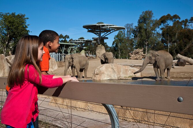 San Diego Zoo 1-Day Pass: Any Day Ticket - Zoo Features and Attractions