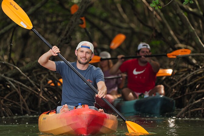 Sarasota Mangrove Tunnel Guided Kayak Adventure - Inclusions and Accessibility