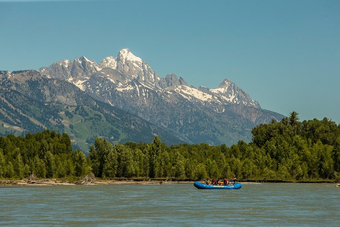 Scenic Wildlife Float in Jackson Hole - Exploring the Wildlife of the Snake River