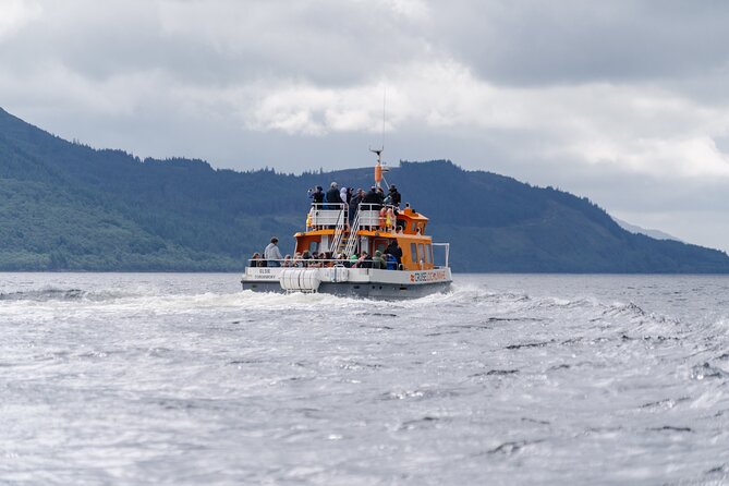 Seal Island Cruise Tour - Activity Highlights