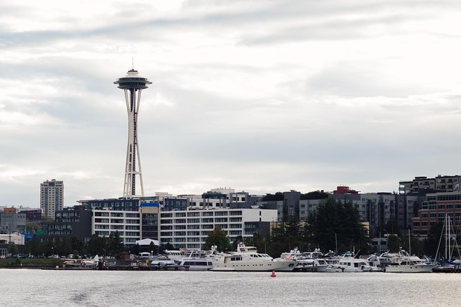Seattle Locks Cruise - Highlights of the Cruise Experience