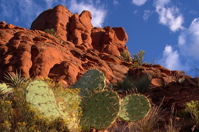 Sedona Red Rocks Outback Tour: Scenic With Mild Off-Roading - Itinerary and Experience