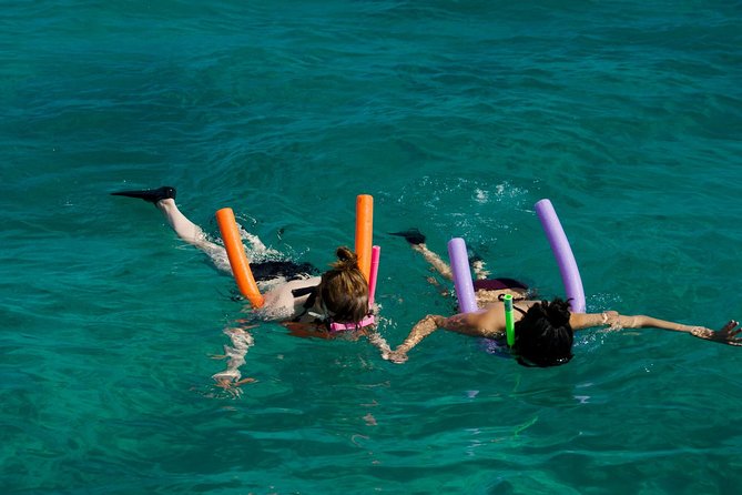 Shallow Water Snorkeling and Dolphin Watching in Key West - The Catamaran Echo Experience