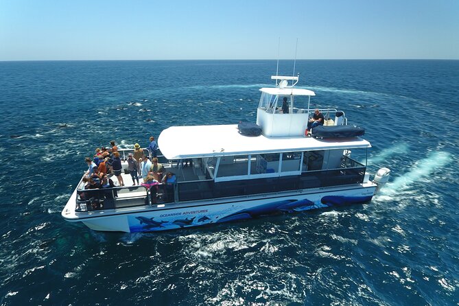 Shared Two-Hour Whale Watching Tour From Oceanside - Meeting Information