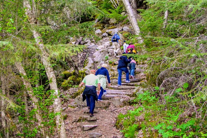 Skagway Shore Excursion Chilkoot Trail Hike and Float Tour - Scenic Van Ride to Chilkoot Trail