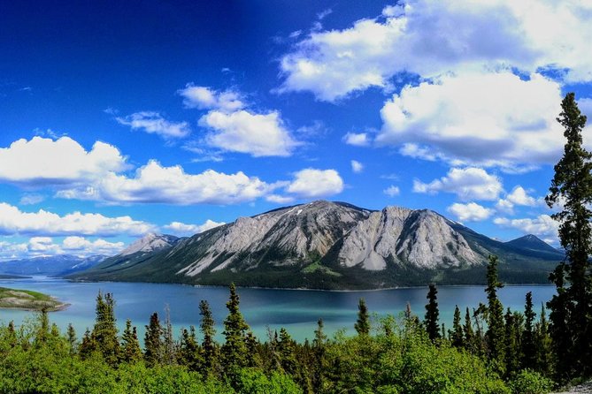 Skagway Shore Excursion: Full-Day Tour of the Yukon - Wildlife Sightings Opportunities