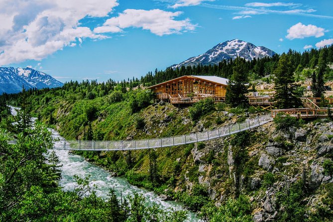 Skagway Shore Excursion: Half-Day Tour to the Yukon Border and Suspension Bridge - Tour Inclusions and Logistics