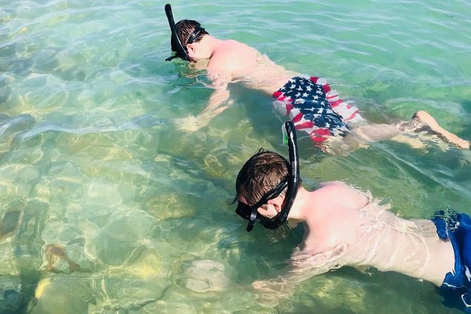 Small Group 2 Hour Dolphin Cruise With Snorkeling to Shell Key - Itinerary and Activities