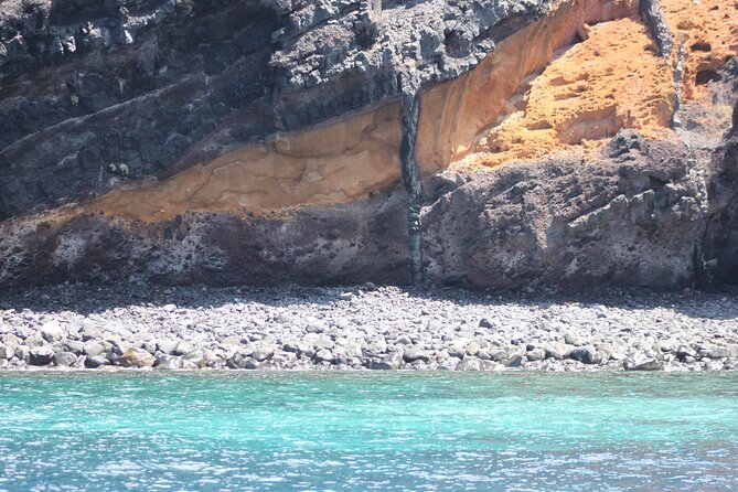 Small Group Excursion Whales and Dolphin Watching Los Gigantes - Location and Meeting Point