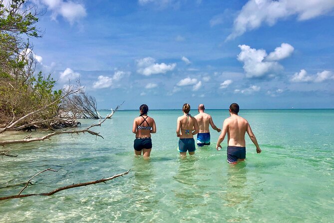 Small Group Kayak Tour of the Shell Key Preserve - Wildlife Encounters