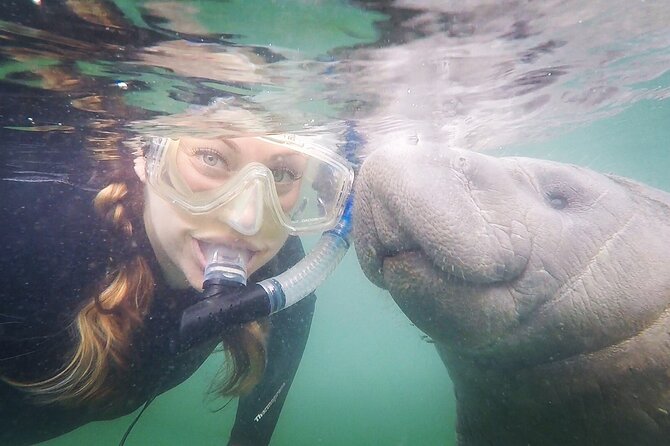 Small Group Manatee Snorkel Tour With In-Water Guide and Photographer - Meeting and Pickup Information