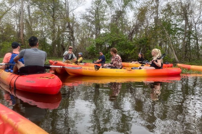 Small-Group Manchac Swamp Kayak Tour - Tour Details