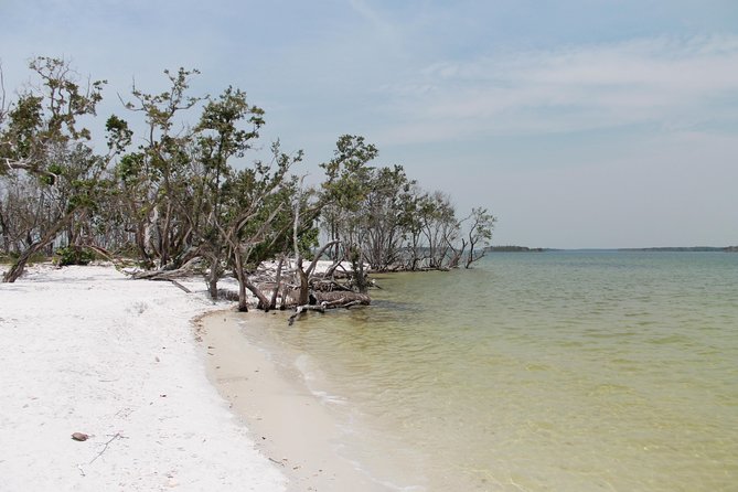 Small Group Motorboat Eco Tour of the Everglades - Disembarking on the Isolated Island