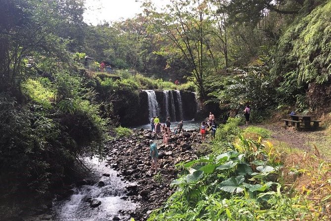 Small-Group Road to Hana Adventure Tour With Pickup & Lunch - Pickup Details