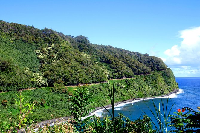 Small-Group Road to Hana Luxury Tour - Inclusions and Amenities