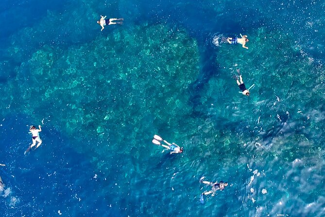 Small Group Snorkeling Expedition South Kona - Inclusions