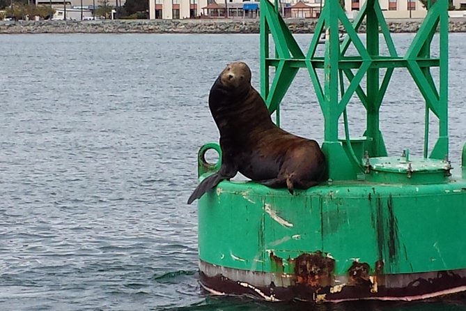 Small-Group Sunset Sailing Experience on San Diego Bay - Booking and Cancellation