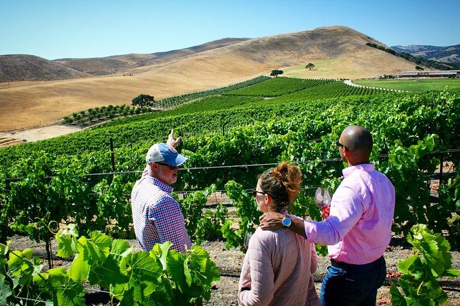 Small-Group Wine Tour to Private Locations in Santa Barbara - Health and Safety Information