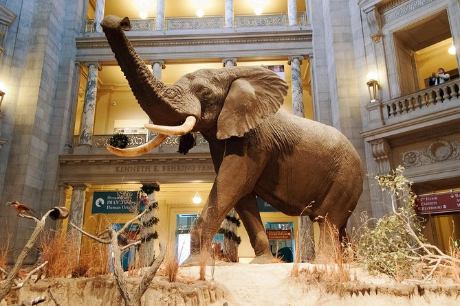Smithsonian Museum of Natural History - Exclusive Guided Tour - Tour Options and Pricing