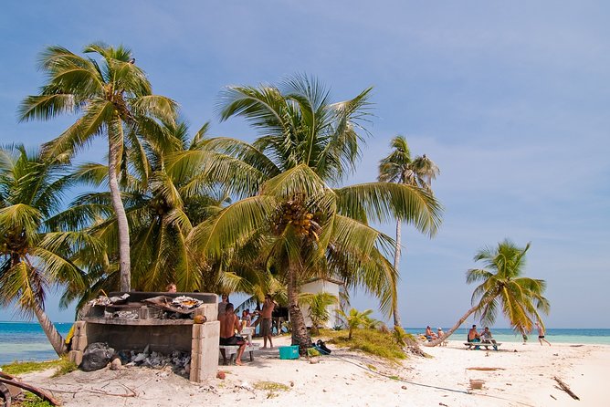Snorkel the Perfect Tropical Isle Silk Caye With Turtles, Rays and Sharks - Encountering Nurse Sharks, Sting Rays, and Sea Turtles