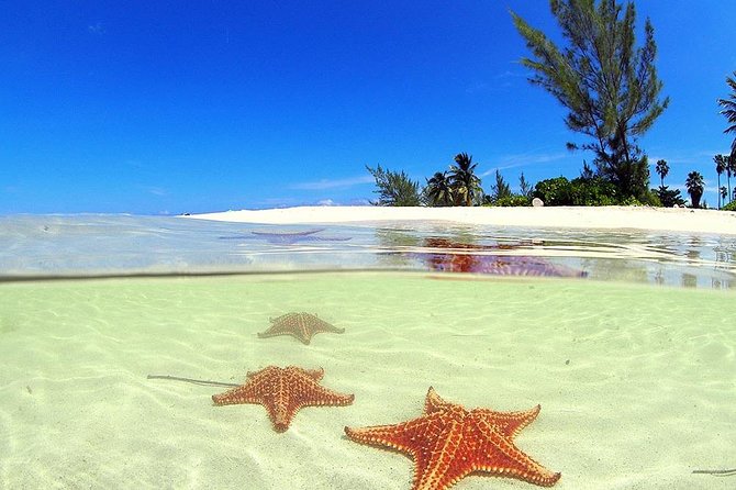 Starfish and Stingray City Fun Tour With Reef Snorkeling- 3 Stops - Relaxing at Starfish Point