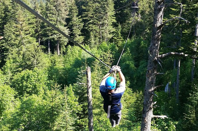 Stoney Creek Canopy Adventure - Zipline and Suspension Bridges