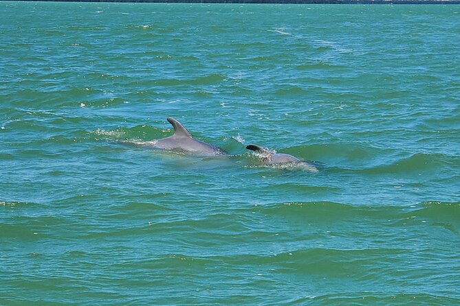 Sunset Dolphin Cruise With Sanibel Lighthouse Views - Exploring the Scenic Fort Myers Waterfront
