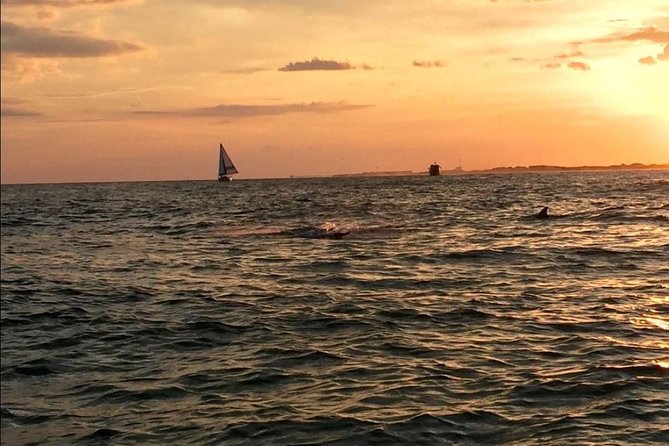 Sunset Dolphin Watching Cruise in Destin Harbor - Health and Safety Considerations