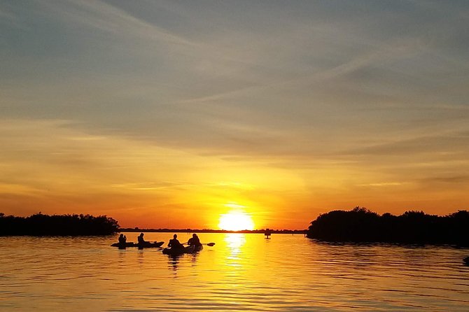 Sunset Tour Mangrove, Dolphins, Manatee #1 Rated in Cocoa Beach - Experience Details