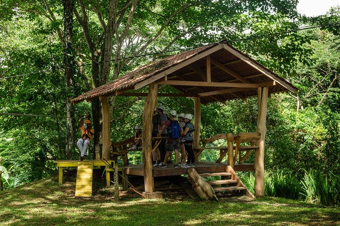 Take Your Adrenaline to the Fullest With Our Zipline Tour! - Transportation and Meeting Details