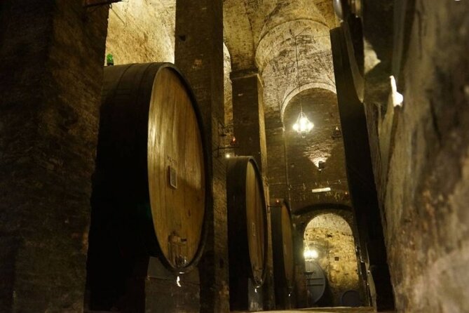 Tasting Tour in One of The Most Beautiful Cellars in the World - Discovering the De Ricci Family Legacy