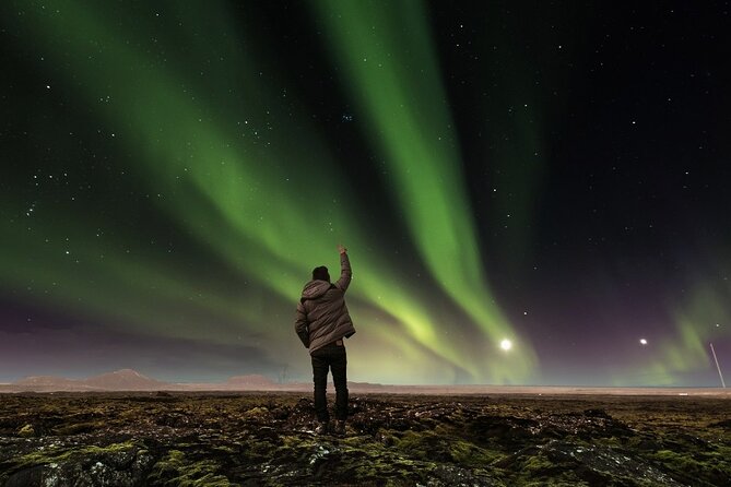 The Aurora Tour - Small Group, Northern Lights - Guest Experiences and Reviews