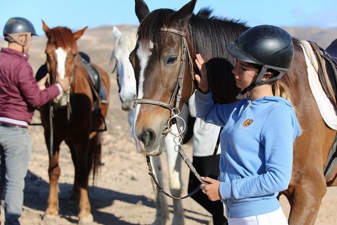 The Best Horse Riding Experience in Gran Canaria (2 Hours) - Scenic Backdrop and Terrain