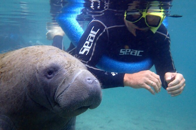 The OG Manatee Snorkel Tour With In-Water Guide/Photographer - Exploring the Crystal River National Wildlife Refuge