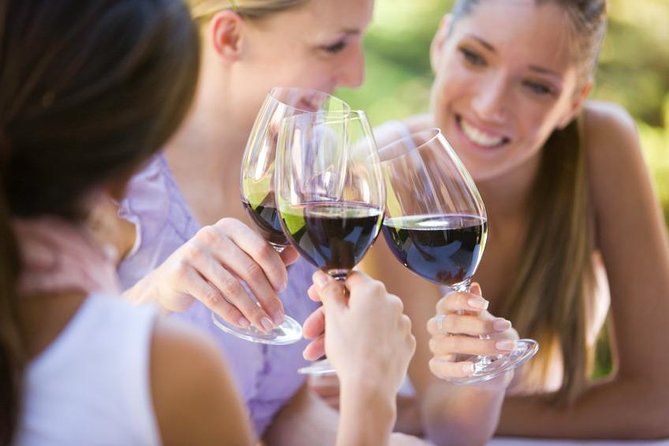 The Original 4 Winery Tour With Charcuterie - Customer Experiences and Reviews