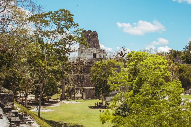 Tikal Exclusive Tour - Mayan Culture and History Explored