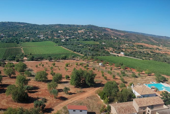 Tour & Wine Tasting - Authentic Algarve Flavours by Quinta Da Tôr - Exploring the Quinta Da Tôr Vineyard