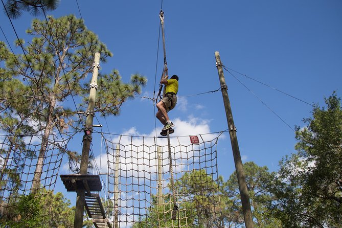TreeUmph Adventure Course - Safety and Accessibility