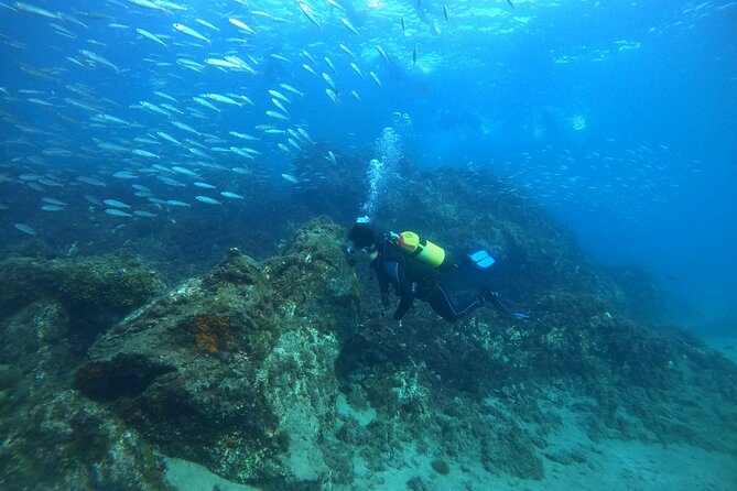 Try Scuba Diving | 2 Dives - Meeting and Pickup