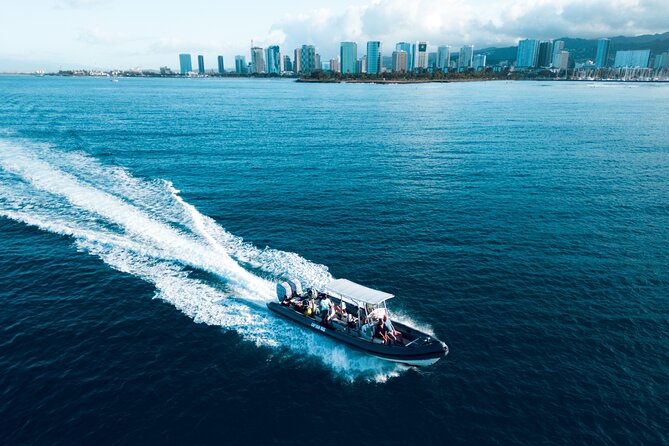 Turtle Canyon Snorkel: Semi Private Boat Tour - Meeting and Departure Information