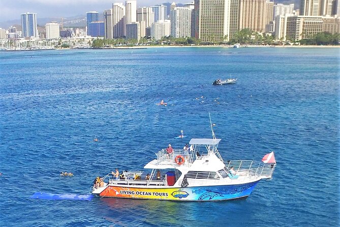 Turtle Canyons Snorkel Excursion From Waikiki, Hawaii - Health and Safety Information