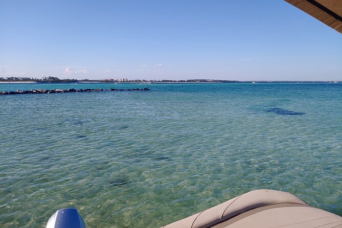Two Hour Private Sightseeing/Dolphin Tour in Panama City Beach - Wildlife and Activities