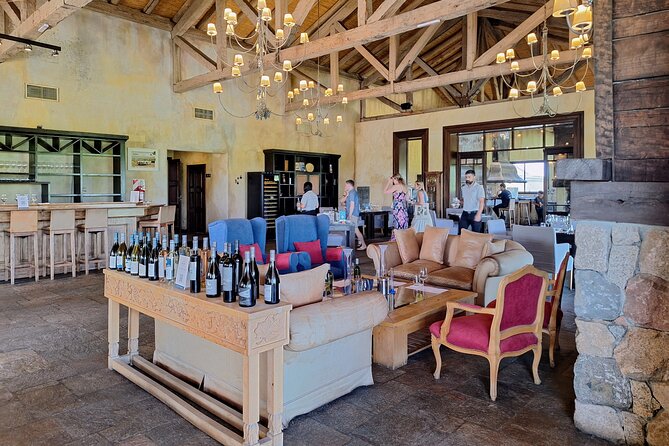 UCO VALLEY WINERIES DAY With PRIVATE DRIVER - Uco Valley Wineries