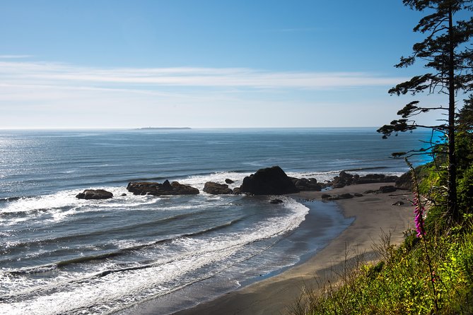 Viator Exclusive Tour- Olympic National Park Tour From Seattle - Inclusions and Logistics