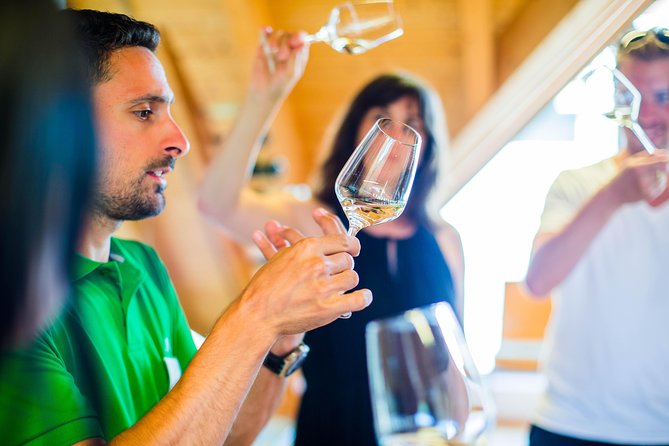 Wachau Valley Small-Group Tour and Wine Tasting From Vienna - Itinerary Highlights